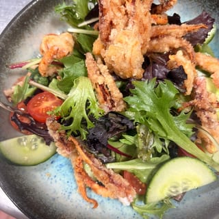 Ikageso Karaage Salad